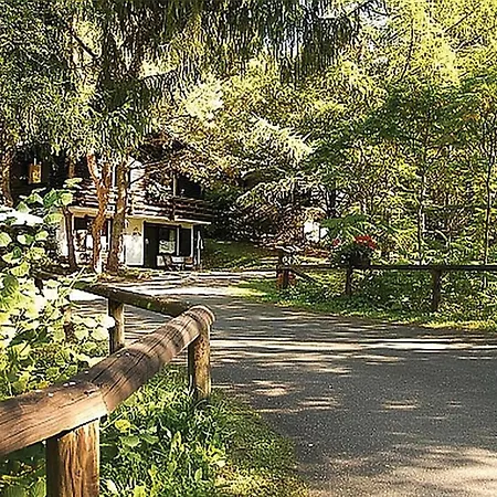 Fewo In Idyllischer Umgebung * Schönecken
